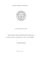 POGODNOST KRUTIH HRANJIVIH PODLOGA ZA IZOLACIJU SALMONELLA SPP. U ZAČINIMA