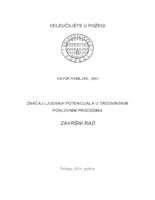 ZNAČAJ LJUDSKIH POTENCIJALA U TRGOVINSKIM POSLOVNIM PROCESIMA