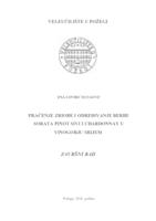 PRAĆENJE ZRIOBE I ODREĐIVANJE BERBE SORATA PINOT SIVI I CHARDONNAY U VINOGORJU SRIJEM