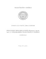 POJAVNOST CRNE PJEGAVOSTI (PHOMOPSIS VITICOLA SACC.) U VINOGRADIMA VELEUČILIŠTA U POŽEGI