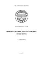 MIKROBIOLOŠKA ANALIZA VODE U BUNARIMA OPĆINE DAVOR