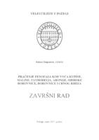 PRAĆENJE FENOFAZA KOD VOĆA KUPINE, MALINE,TAYBEERY-A, ARONIJE, SIBIRSKE BOROVNICE, BOROVNICE I CRNOG RIBIZLA.