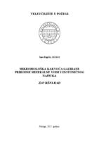 MIKROBIOLOŠKA KAKVOĆA GAZIRANE PRIRODNE MINERALNE VODE I IZOTONIČNOG NAPITKA