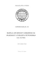 MJERILA USPJEŠNOSTI USMJERENA NA VRIJEDNOST U PODUZEĆU PETROKEMIJA D.D. KUTINA