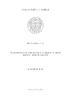 prikaz prve stranice dokumenta MALOPRODAJA HRVATSKE LUTRIJE I LUTRIJE BOSNE I HERCEGOVINE