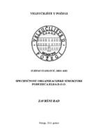 prikaz prve stranice dokumenta SPECIFIČNOSTI ORGANIZACIJSKE STRUKTURE PODUZEĆA ELDA D.O.O.