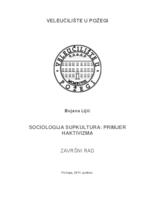 prikaz prve stranice dokumenta SOCIOLOGIJA SUPKULTURA: PRIMJER HAKTIVIZMA